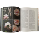 The Fine Art of Paper Flowers