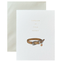 Pet Collar