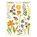 Pressed Flowers Herbarium