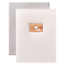 Special Delivery Stamp