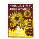 Sunshine For You