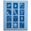 Sunprint Notecards