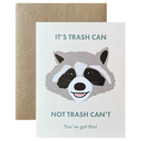 Raccoon Trash Can