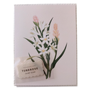 Scented Tuberose
