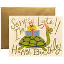 Turtle Belated