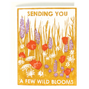 Sending You Wild Blooms