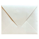 Wildflower Envelope