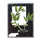 Plant By the Window