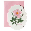 With Love, Wild Rose