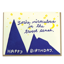 Miraculous Birthday