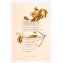 An Almanac of Birds