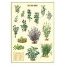 Aux Fines Herbes