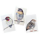 Backyard Bird Chronicles Postcards