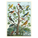 Birds in a Tree