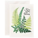 Birthday Ferns