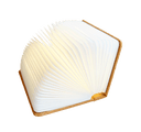 Smart Book Light