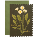 Botanical Daisy Birthday Wishes