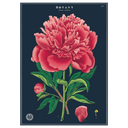 Botany Study