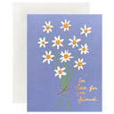 Bunch o Flowers