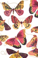 Colourful Butterflies Garland