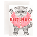 Big Kitten Hug