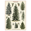Christmas Trees