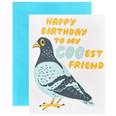 Cool Pigeon Birthday