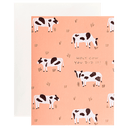 Cow Congrats