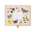 Curio Thank You Card Set