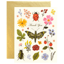Curio Thank You
