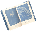 Anna Atkins' Fern Book