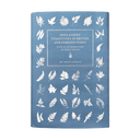 Anna Atkins' Fern Book