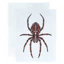 Diadem Spider