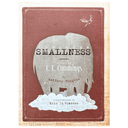 Enormous Smallness