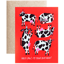 Holy Cow Birthday