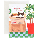 Cat New Home