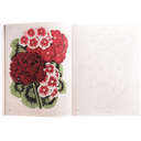 JD Colouring BK Flowers