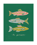 Le Poisson Art Print