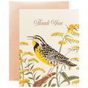 Meadowlark Thank You