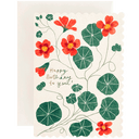 Nasturtium Birthday