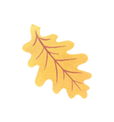 Oak Leaf Mini