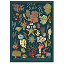 Ocean Flora