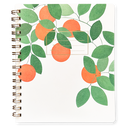 Orange Grove Notebook