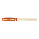 Student Fountain Pen
