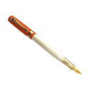 Student Fountain Pen