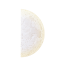 Our Friend Moon