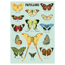 Papillons Blue