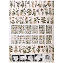 Flora Creative Paper