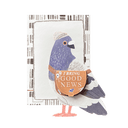 Messenger Pigeon Pop-up