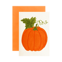 Pumpkin Mini